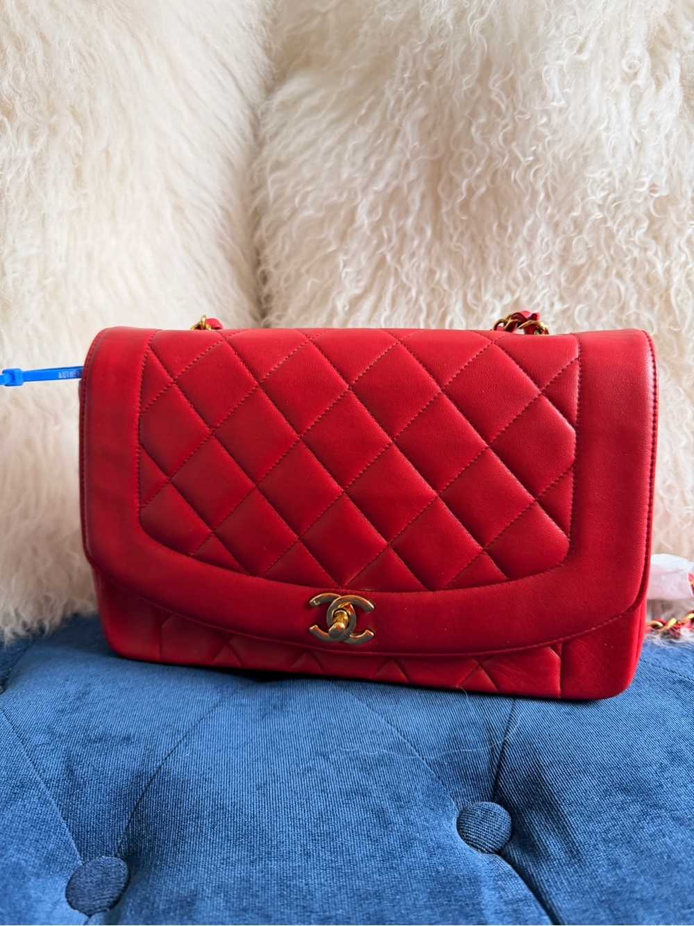 CHANEL Diana 25 Chain Shoulder Bag Lamb Skin Red CC
